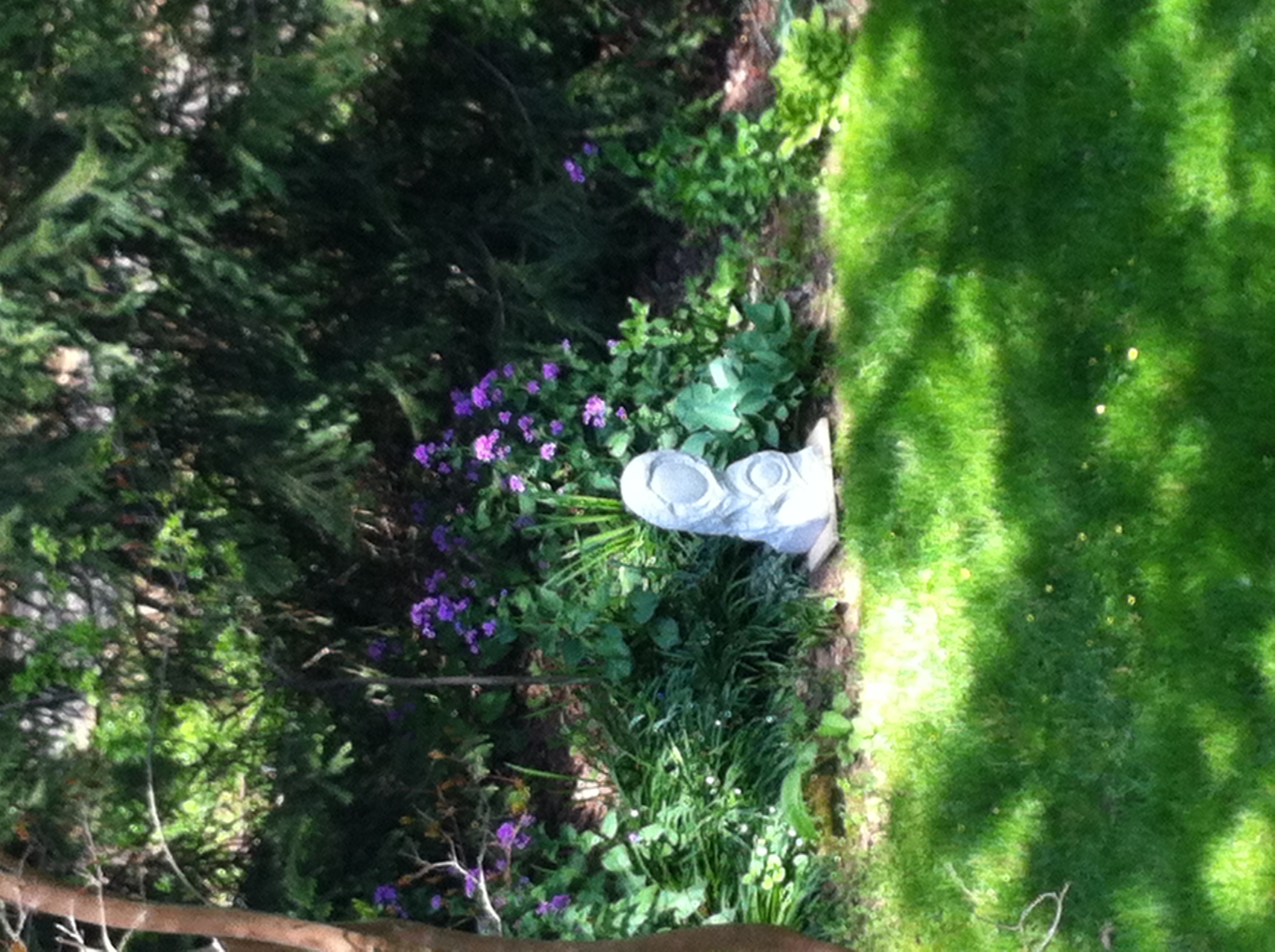 SOFE — Indiana Limestone